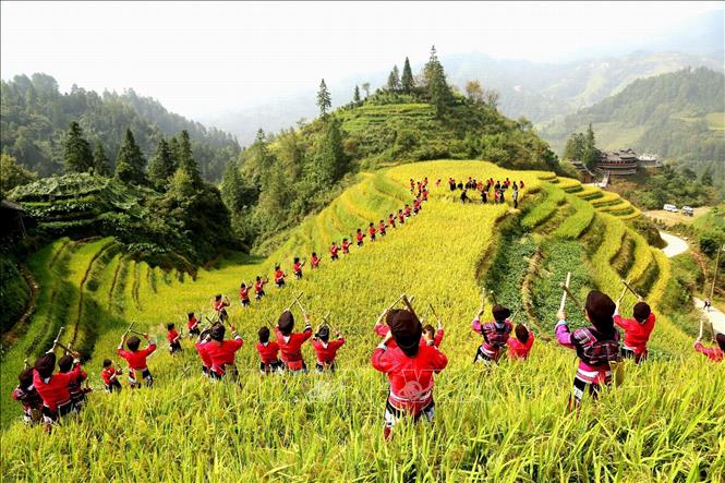 Trong ảnh: Người dân tham gia Lễ hội mùa màng ở Quế Lâm, khu tự trị dân tộc Choang Quảng Tây, Trung Quốc ngày 23/9/2018. Ảnh: THX/ TTXVN