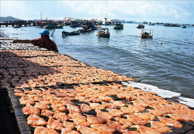 Trong ảnh: Người dân tẩm gia vị trực tiếp trong quá trình phơi các loại khô hải sản. Ảnh: Nguyễn Vũ Thành Đạt - TTXVN
       
