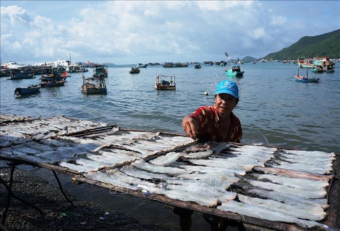 Trong ảnh: Người dân tẩm gia vị trực tiếp trong quá trình phơi các loại khô hải sản. Ảnh: Nguyễn Vũ Thành Đạt - TTXVN