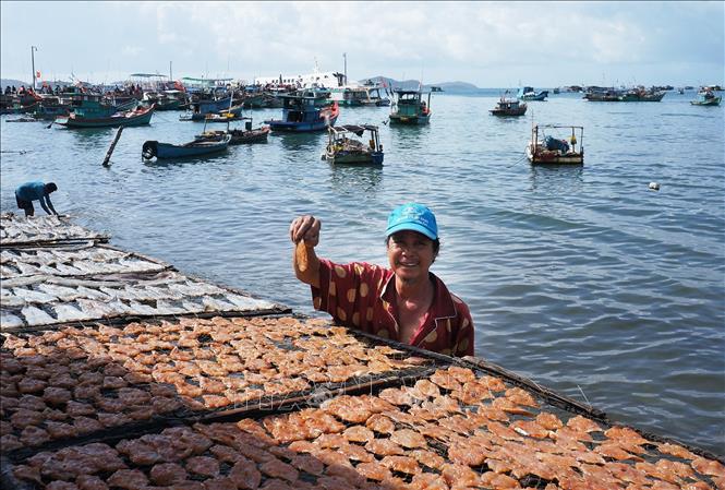 Trong ảnh: Hải sản khô mang lại thu nhập cho người dân đảo Nam Du, xã An Sơn, huyện Kiên Hải. Ảnh: Nguyễn Vũ Thành Đạt - TTXVN
