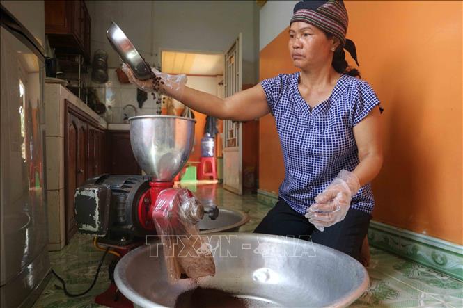 Trong ảnh: Xay cà phê bột tại nhà của K’Luys để cung cấp cho khách hàng. Ảnh: Nguyễn Dũng – TTXVN