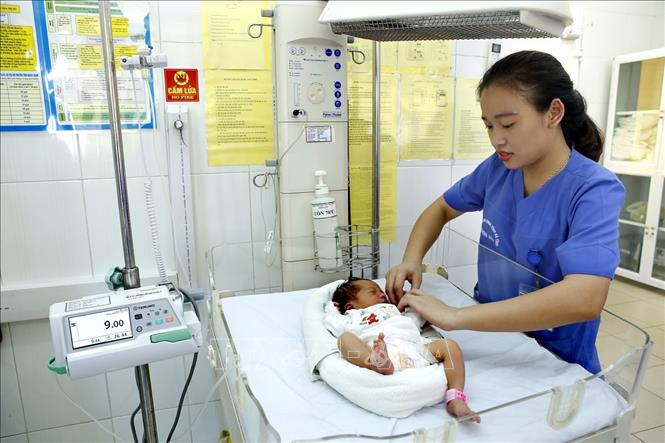 Trong ảnh: Bệnh viện Đa khoa Hà Tĩnh phát triển chuyên môn cao lĩnh vực hồi sức sơ sinh, cứu sống nhiều trẻ sinh non tháng, cân nặng 1.000 – 1.100 gram. Ảnh: Dương Ngọc – TTXVN