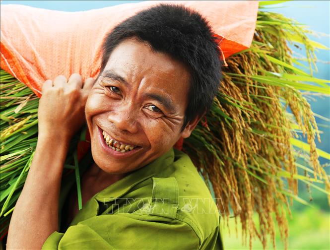 Trong ảnh: Niềm vui của đồng bào Rục tại xã Thượng Hóa, huyện Minh Hóa thu hoạch lúa trên cách đồng Rục Làn. Ảnh: Mạnh Thành, Đức Thọ - TTXVN