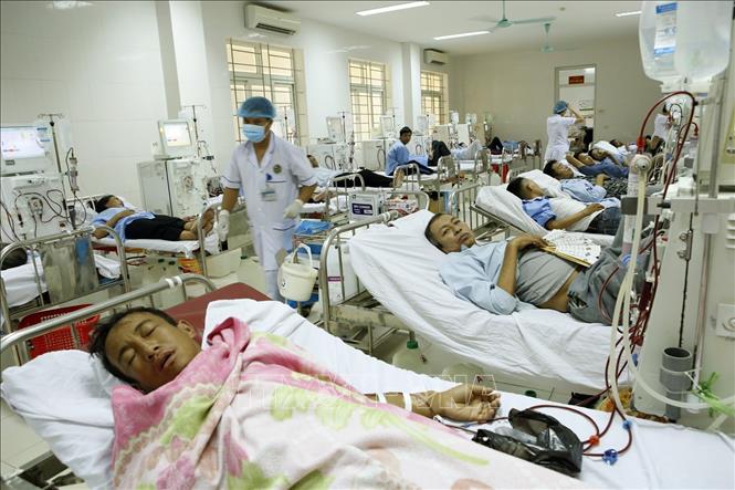 Trong ảnh: Các bệnh nhân chạy thận tại Bệnh viện Đa khoa Hà Tĩnh. Ảnh: Dương Ngọc – TTXVN