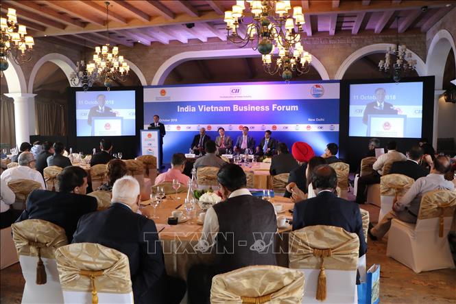 Trong ảnh: Quang cảnh diễn đàn. Ảnh: Huy Lê - P/v TTXVN tại Ấn Độ 