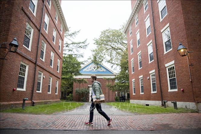 Trong ảnh: Khuôn viên Trường đại học Harvard ở Cambridge, bang Massachusetts, Mỹ. Ảnh: THX/TTXVN