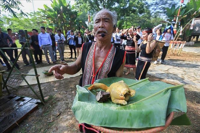 Trong ảnh: Già làng chuẩn bị lễ vật cho buổi lễ mừng lúa mới. Ảnh: Trọng Đạt - TTXVN