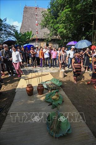 Trong ảnh: Lễ cũng mừng lúa mới của người dân buôn làng Xơ Đăng được chuẩn bị chu đáo. Ảnh: Trọng Đạt - TTXVN
