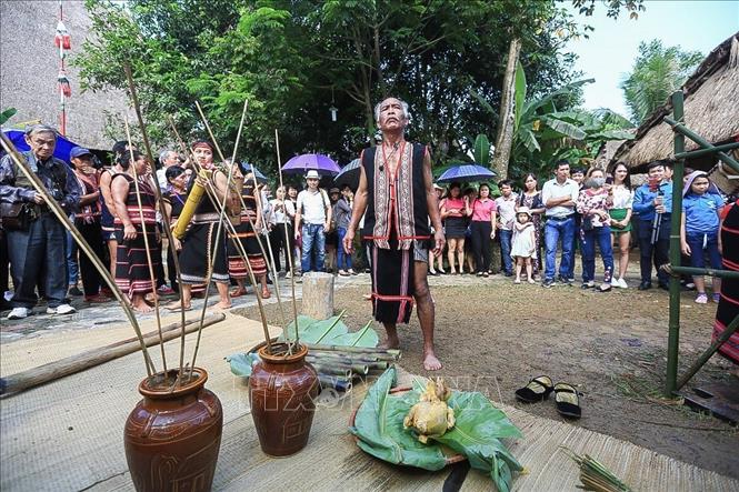 Trong ảnh: Già làng Xơ Đăng thực hiện lễ cũng mừng lúa mới. Ảnh: Trọng Đạt - TTXVN