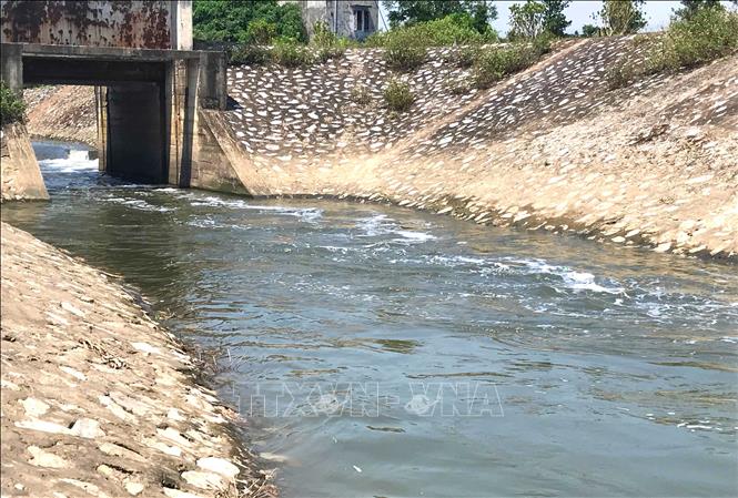 Trong ảnh: Đầu cống xả thải ra dòng sông Hồng của Trạm bơm Quán Chuột tại xã Mỹ Tân, huyện Mỹ Lộc, Nam Định nước đen ngòm. Ảnh: Công Luật - TTXVN