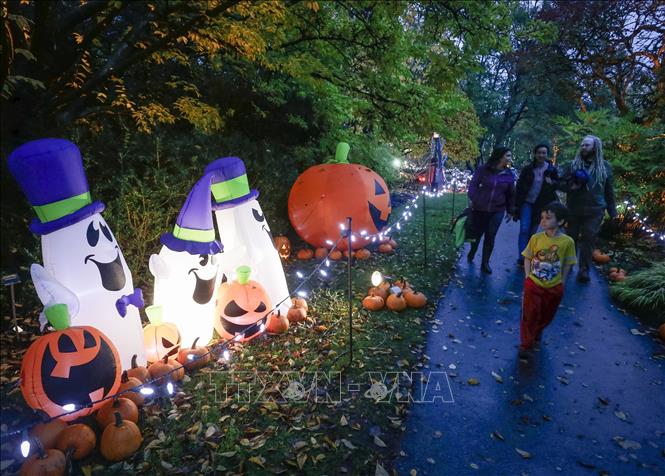 Trong ảnh: Du khách chiêm ngưỡng các tác phẩm điêu khắc và trang trí với chủ đề Halloween tại sự kiện  