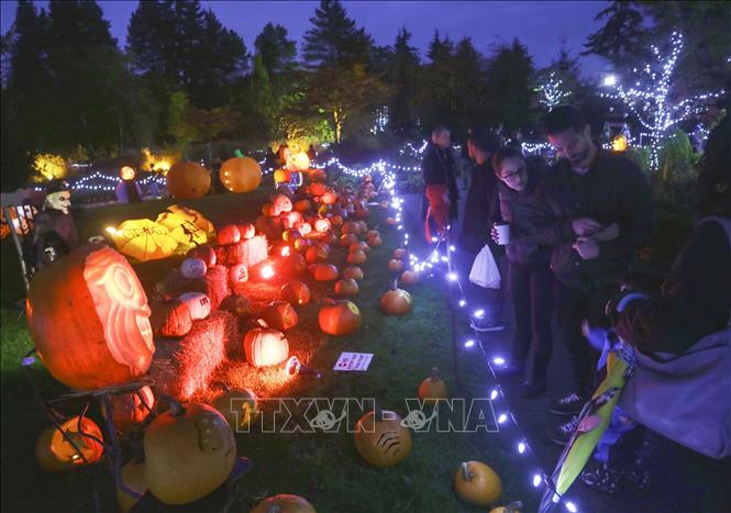 Trong ảnh: Du khách chiêm ngưỡng các tác phẩm điêu khắc và trang trí với chủ đề Halloween tại sự kiện  