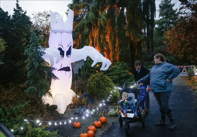 Trong ảnh: Du khách chiêm ngưỡng các tác phẩm điêu khắc và trang trí với chủ đề Halloween tại sự kiện  