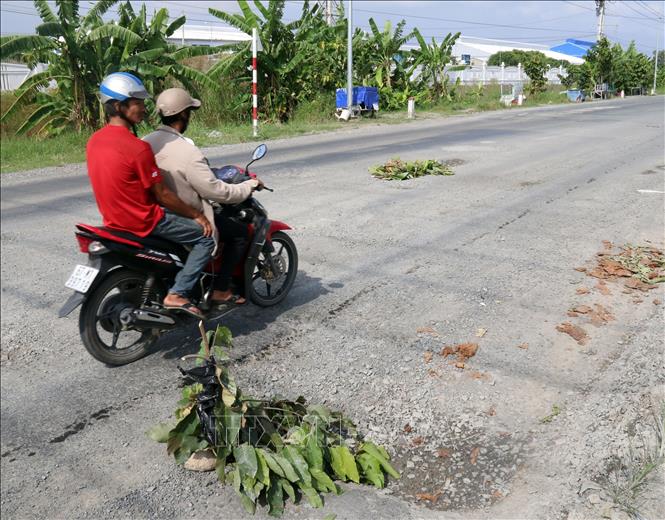 Trong ảnh: Những nhánh cây báo hiệu nguy hiểm trên tuyến đường tránh Võ Văn Kiệt. Ảnh: Lê Sen - TTXVN