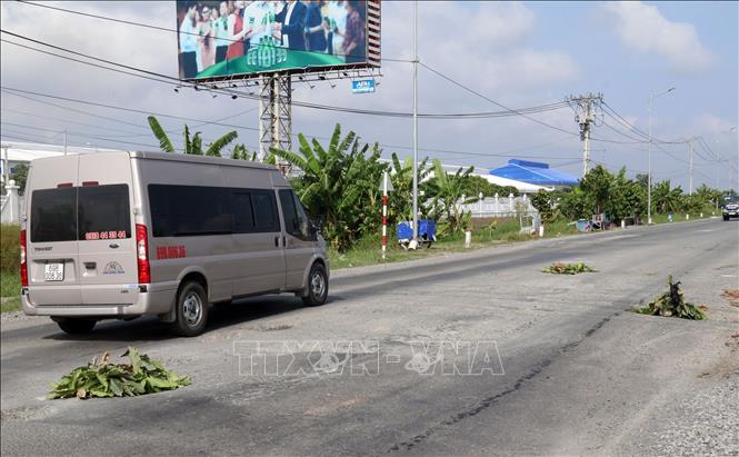 Trong ảnh: Những nhánh cây báo hiệu nguy hiểm trên tuyến đường tránh Võ Văn Kiệt. Ảnh: Lê Sen - TTXVN