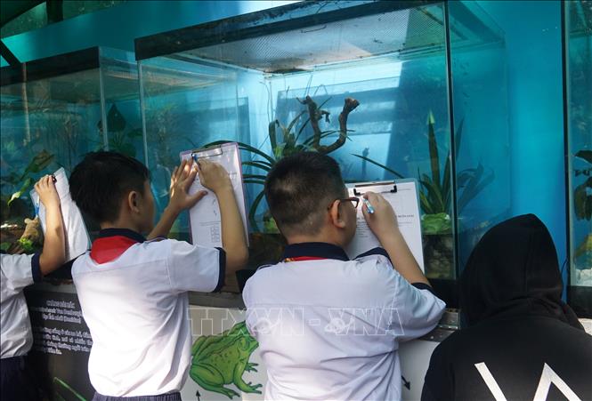 Trong ảnh: Học sinh Trường Tiểu học Nguyễn Bỉnh Khiêm (quận 1) tham gia tiết học ngoài nhà trường. Ảnh: Thu Hoài - TTXVN     