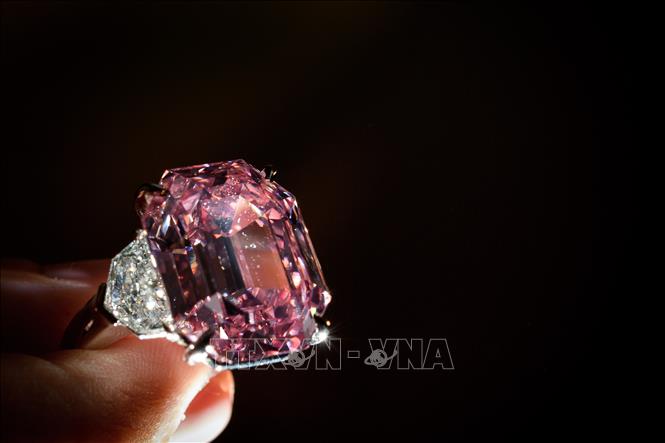 Viên kim cương hồng Pink Legacy (trong ảnh) nặng gần 19 carat đã được mua với giá kỷ lục 50 triệu USD trong phiên đấu giá của nhà Christie's ở Geneva, Thụy Sĩ ngày 13/11/2018. Ảnh: AFP/ TTXVN