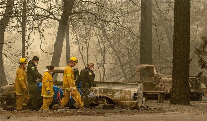 Các đám cháy rừng hoành hành dữ dội tại bang California, Mỹ đã khiến ít nhất 63 người thiệt mạng, 631 người mất tích, hơn 8.800 tòa nhà bị thiêu rụi, đẩy 27.000 người vào cảnh vô gia cư. Trong ảnh: Nhân viên cứu hộ chuyển thi thể nạn nhân vụ cháy rừng ở Paradise, bang California, Mỹ ngày 14/11. Ảnh: AFP/TTXVN