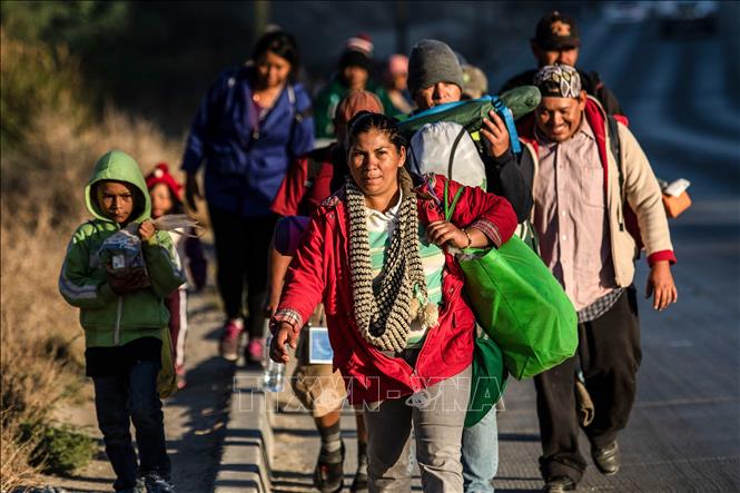 Trong ảnh: Người di cư Trung Mỹ trong hành trình tới Mỹ tại khu vực Tijuana, Mexico ngày 15/11/2018. Ảnh: AFP/TTXVN