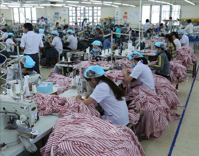 Photo: A workshop of the Binh Dinh Garment Joint Stock Company in the central province of Binh Dinh. VNA Photo: Vũ Sinh