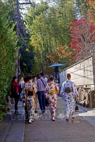 Trong ảnh: Hình ảnh thấp thoáng của những Geisha yêu kiều nơi thắng cảnh khiến du khách như lạc bước tại khu vực vùng núi Arashiyama. Ảnh: Huy Hùng - TTXVN