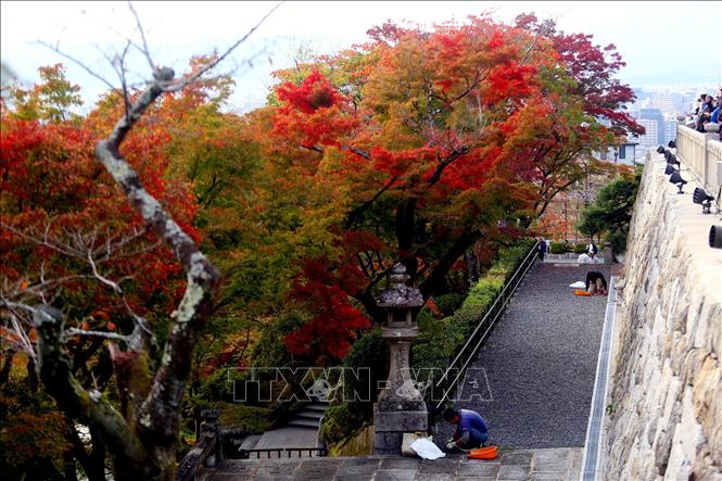Trong ảnh: Cảnh đẹp tại chùa Thanh Thủy tại cố đô Kyoto. Ảnh: Huy Hùng - TTXVN