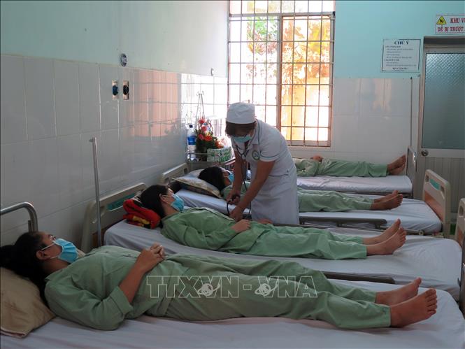 Trong ảnh: Các ca bệnh bạch hầu điều trị tại Khoa Y học nhiệt đới, Bệnh viện Đa khoa tỉnh Kon Tum. Ảnh: Quang Thái - TTXVN   