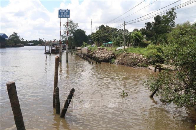 Trong ảnh: Điểm sạt lở trên kênh 28 thuộc xã Đông Hòa Hiệp, huyện Cái Bè. Ảnh: Minh Trí - TTXVN