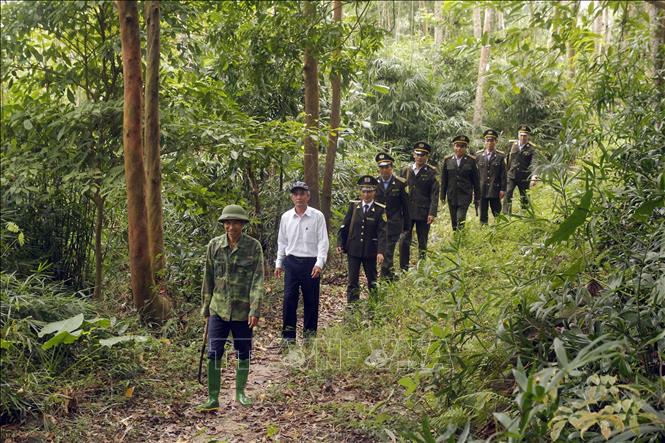 Trong ảnh: Lực lượng Kiểm lâm tỉnh phối hợp với Hạt kiểm lâm và nhân dân trên địa bàn huyện Lập Thạch tuần tra, kiểm soát bảo vệ rừng. Ảnh: Quang Quyết-TTXVN