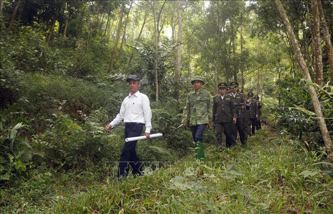 Trong ảnh: Lực lượng Kiểm lâm tỉnh phối hợp với Hạt kiểm lâm và nhân dân trên địa bàn huyện Lập Thạch tuần tra, kiểm soát bảo vệ rừng. Ảnh: Quang Quyết-TTXVN