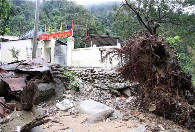 Trong ảnh: Trận mưa lũ tháng 7 vừa qua đã làm một cây cổ thụ tại bản Nậm Ô bị nước lũ quật đổ. Ảnh: Quý Trung – TTXVN
