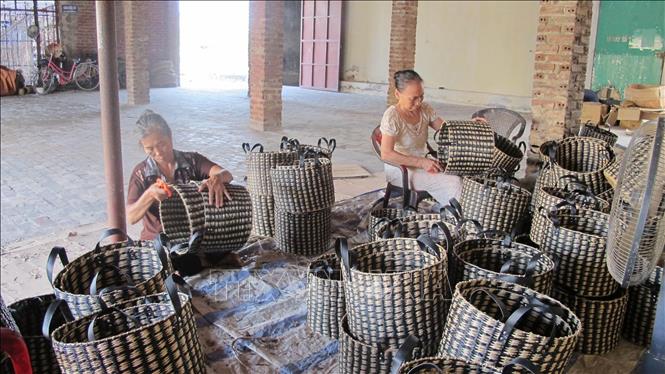 Trong ảnh: Đan cói thủ công tại huyện Kim Sơn. Ảnh: Hải Yến - TTXVN