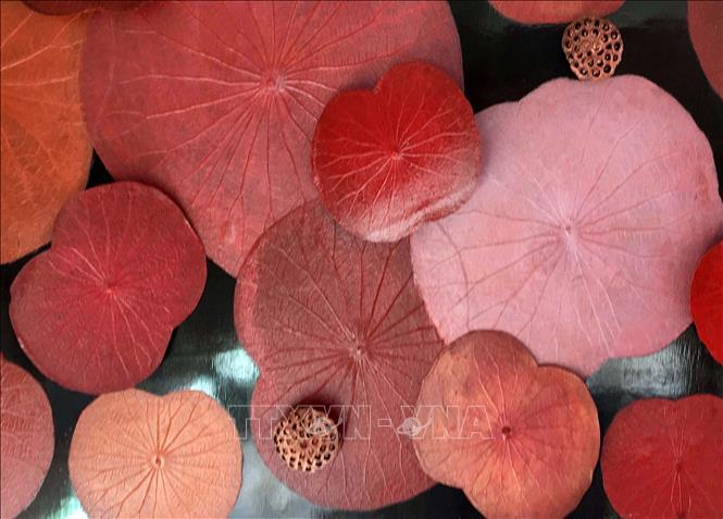 Photo: A lotus leaf painting by Nguyen Thanh Thao. VNA Photo: Quốc Việt