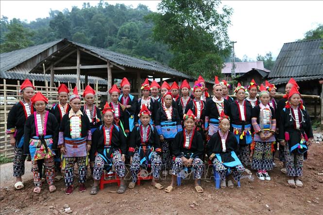 Trong ảnh: Những phụ nữ Dao đỏ trong trang phục truyền thống. Ảnh: Phan Tuấn Anh - TTXVN