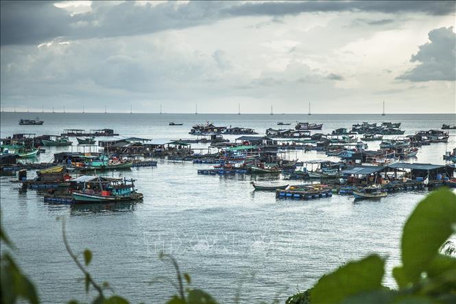 Trong ảnh: Nghề nuôi cá lồng bè ở xã đảo Lại Sơn, huyện Kiên Hải.Ảnh: Hồng Đạt-TTXVN
 