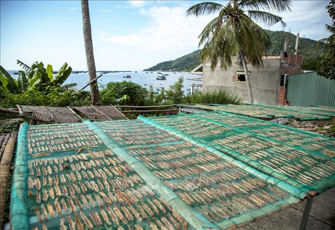 Trong ảnh: Chế biến cá khô tại xã đảo Hòn Tre, huyện Kiên Hải. Ảnh: Hồng Đạt-TTXVN
 
