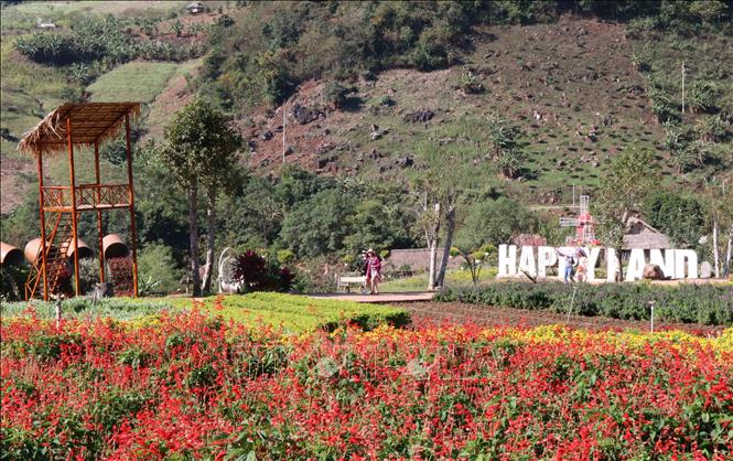 Trong ảnh: Du khách tham quan khu du lịch Happy Land ở xã Mường Sang, huyện Mộc Châu, tỉnh Sơn La. Ảnh: Nguyễn Cường - TTXVN.