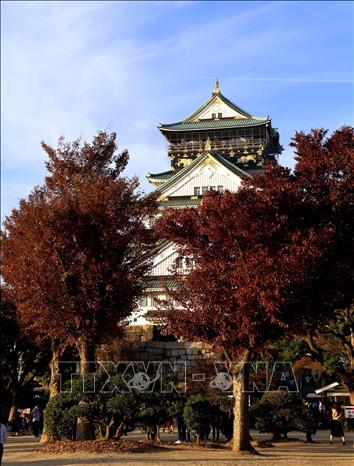 Trong ảnh: Lâu đài Osaka được xếp vào Tam đại danh thành của Nhật Bản cùng với lâu đài Nagoya và lâu đài Kumamoto và được bảo tồn kỹ lưỡng để giữ mãi dáng vẻ oai hùng và tráng lệ. Ảnh: Huy  Hùng - TTXVN