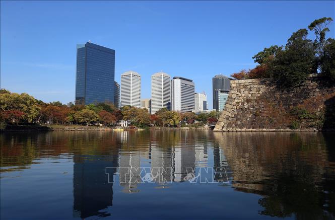 Trong ảnh: Tòa thành cổ Osaka nằm giữa trung tâm thành phố hiện đại và sôi động, mang lại cho du khách một cảm giác yên bình khi đến tham quan chiêm ngưỡng. Ảnh: Huy Hùng - TTXVN