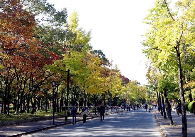Trong ảnh: Lâu đài cổ Osaka nằm ở trung tâm của công viên cùng tên rộng hơn 60.000 m2. Ảnh: Huy Hùng - TTXVN