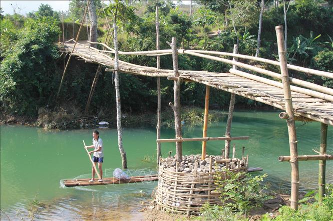 Trong ảnh: Cầu tre Nà Khưa được ghép bằng tre buộc dây thép, trụ cầu rọ đá tạm bợ, chông chênh. Ảnh: Quang Duy - TTXVN
