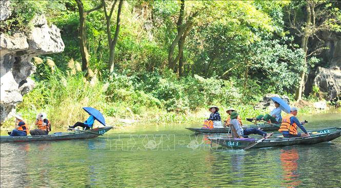Trong ảnh: Chèo đò bằng chân đưa khách du lịch đi tham quan tại khu du lịch Tam Cốc. Ảnh: Minh Đức - TTXVN

