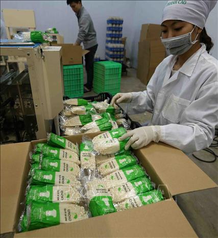 Trong ảnh: Bao bì đóng gói sản phẩm nấm kim châm được nhập khẩu từ Nhật Bản, thời gian bảo quản 30 ngày kể từ ngày đóng gói. Ảnh: Vũ Sinh - TTXVN