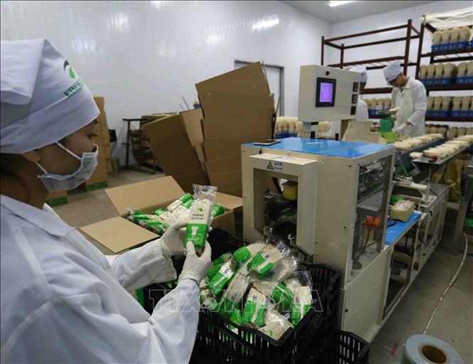 Trong ảnh: Bao bì đóng gói sản phẩm nấm kim châm được nhập khẩu từ Nhật Bản, thời gian bảo quản 30 ngày kể từ ngày đóng gói. Ảnh: Vũ Sinh - TTXVN