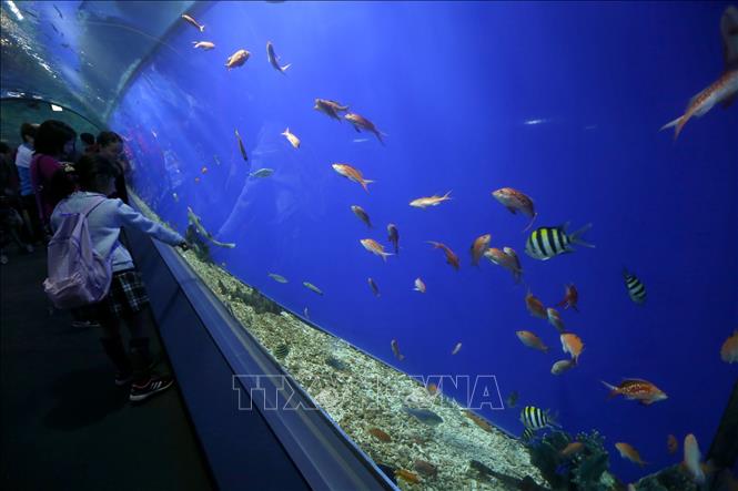 Trong ảnh: 