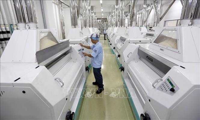 Photo: Wheat flour processing line of the Japanese-invested CJ Foods Milling Vietnam Company in the southern province of Ba Ria-Vung Tau. VNA Photo: Danh Lam
