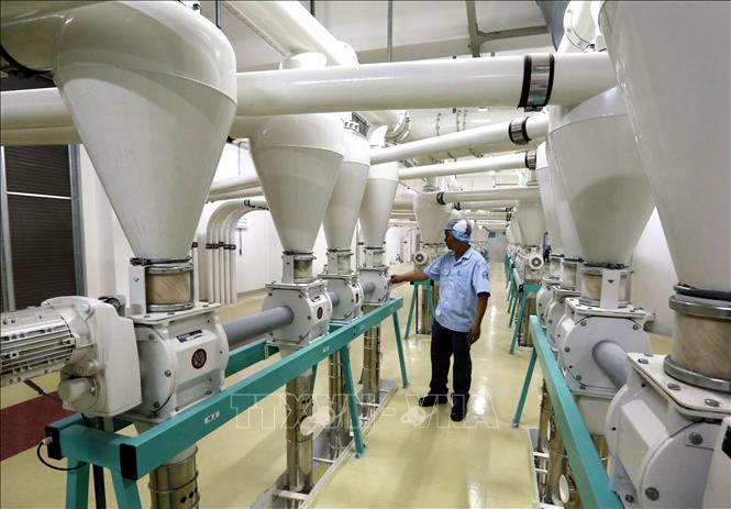 Photo: Wheat flour processing line of the Japanese-invested CJ Foods Milling Vietnam Company in the southern province of Ba Ria-Vung Tau. VNA Photo: Danh Lam