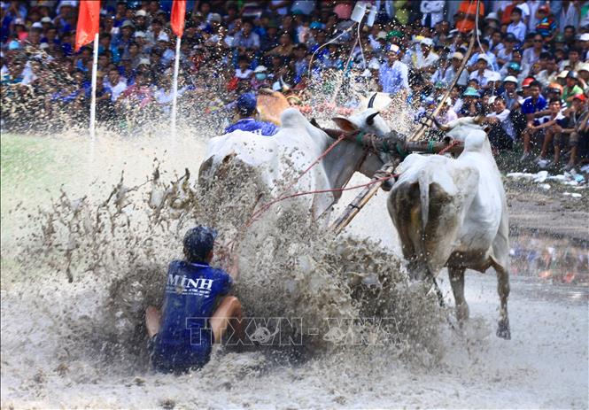 Trong ảnh: Vòng đua thứ 2 là vòng thả, là vòng đua cực kỳ hấp dẫn, đặc biệt là 100 m cuối. Ảnh: Duy Khương - TTXVN