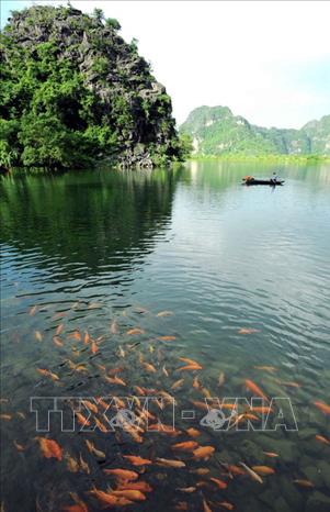 Trong ảnh: Vẻ đẹp hài hòa của núi đá, sông nước, rừng cây và bầu trời ở Tràng An tạo nên một thế giới tự nhiên sống động. Ảnh: Minh Đức - TTXVN