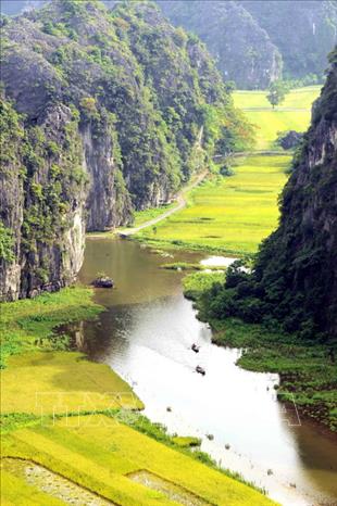 Trong ảnh: Cảnh đẹp thiên nhiên kỳ thú trên đường vào khu du lịch Tam Cốc - Bích Động với ruộng lúa chín vàng xen giữa những dãy núi đá vôi hai bên bờ sông Ngô Đồng. Ảnh: Minh Đức - TTXVN